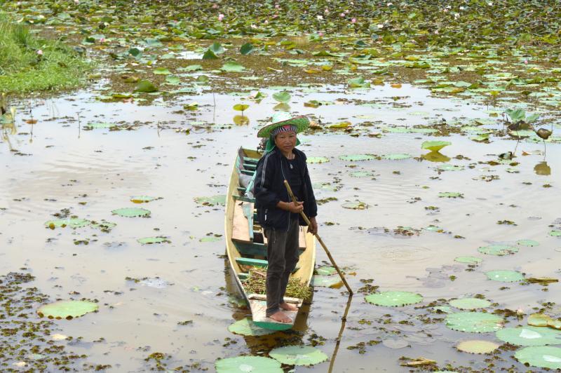 post-237730-0-69602900-1433315709_thumb.