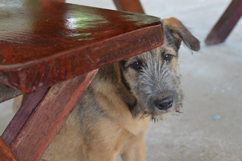 post-237730-0-72333000-1434541466_thumb.