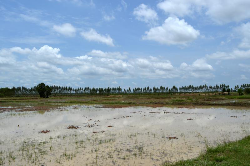 post-237730-0-75501600-1433324817_thumb.