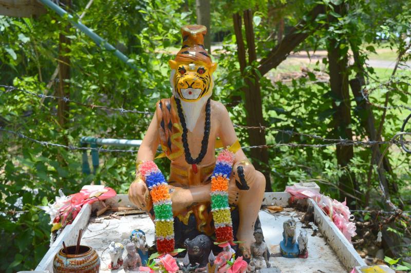 post-237730-0-75840100-1433490943_thumb.