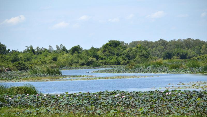 post-237730-0-77052600-1435118760_thumb.