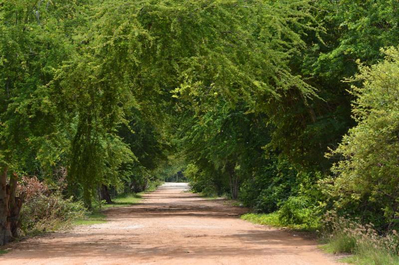 post-237730-0-77797100-1435302490_thumb.