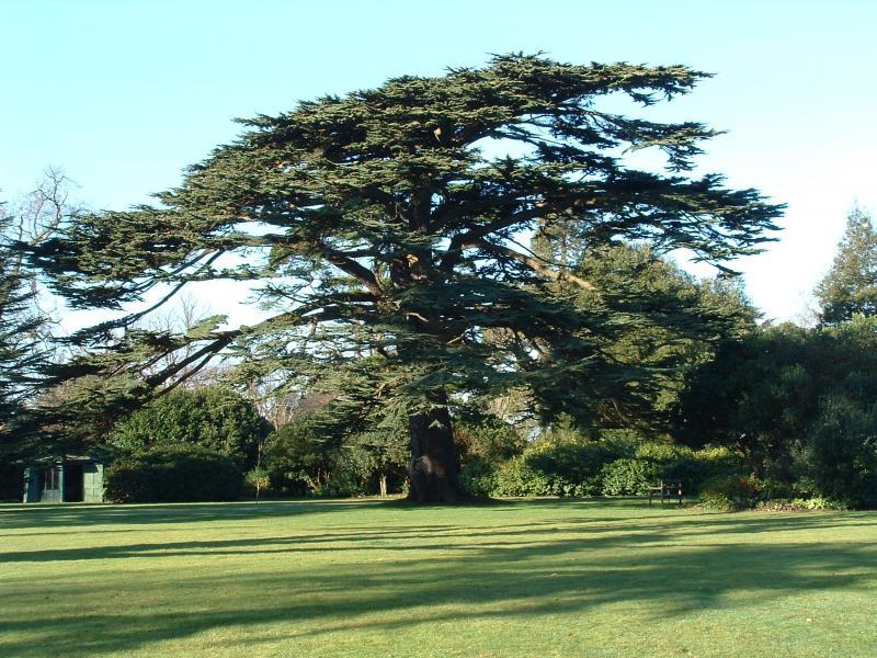 post-237730-0-79457200-1433585586_thumb.