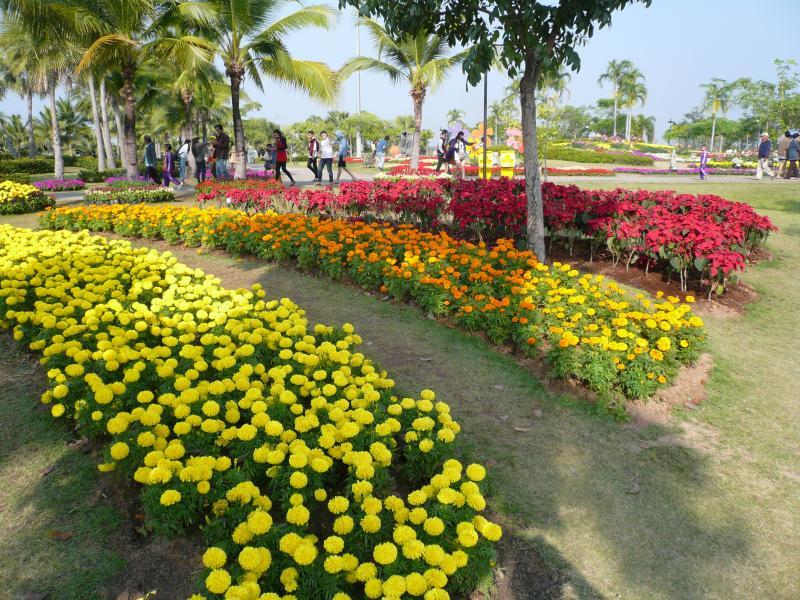 post-237730-0-79652300-1435365307_thumb.