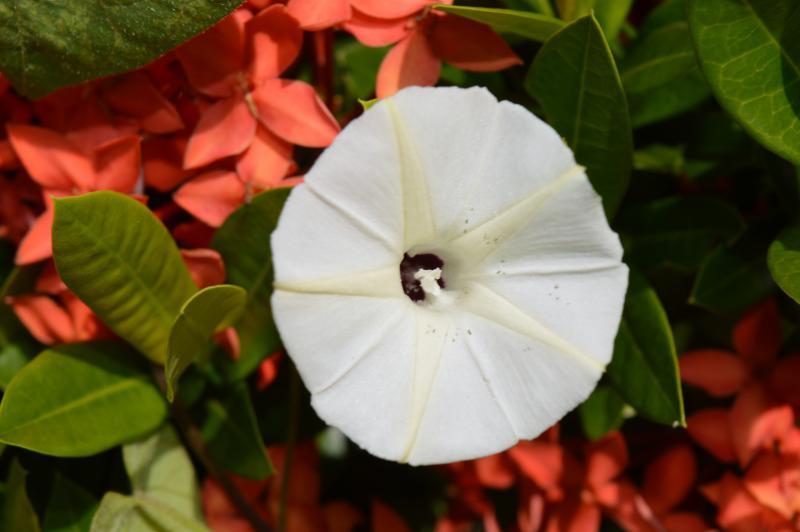 post-237730-0-84933100-1434089674_thumb.