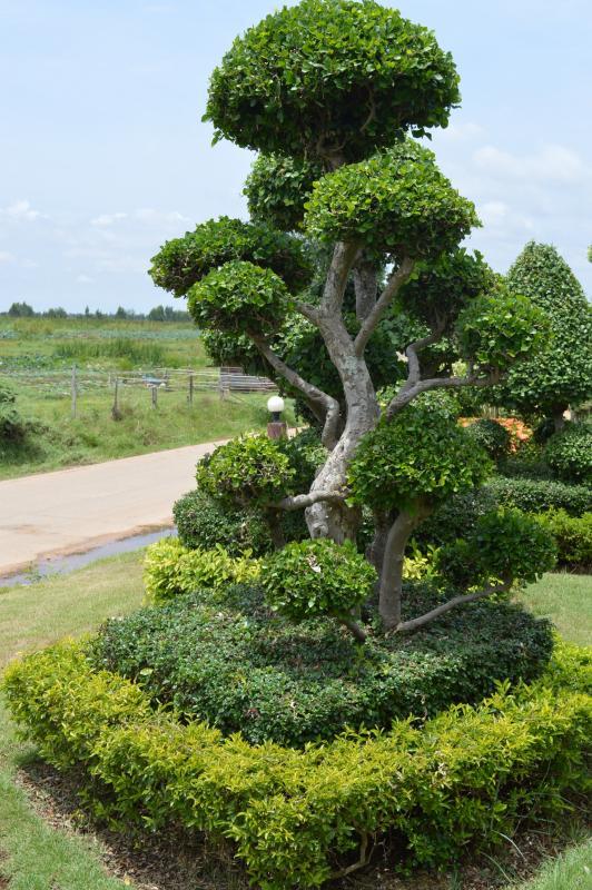 post-237730-0-85388900-1433324614_thumb.