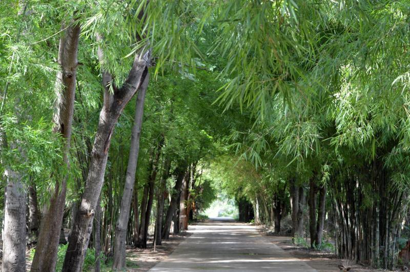 post-237730-0-87025000-1434346939_thumb.