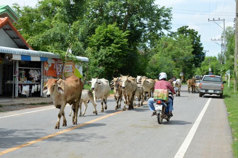 post-237730-0-88854600-1434542790_thumb.