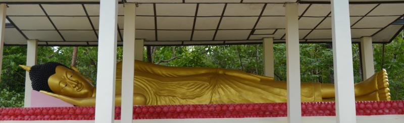 post-237730-0-89940400-1434953430_thumb.