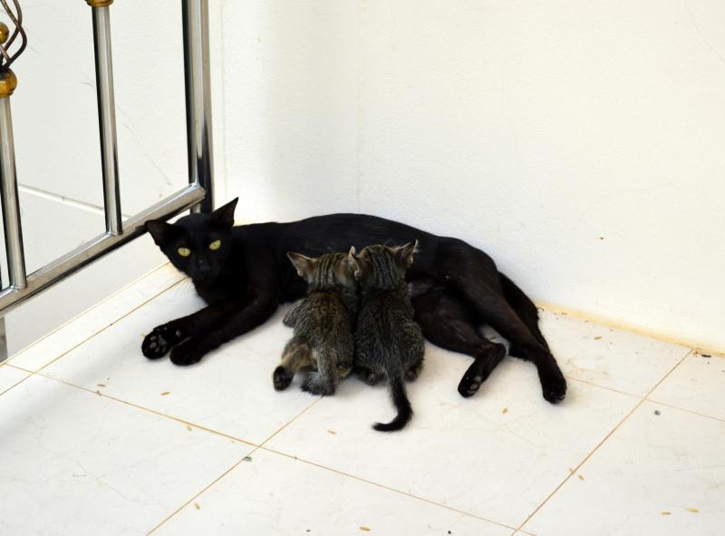 post-237730-0-91363300-1433580333_thumb.