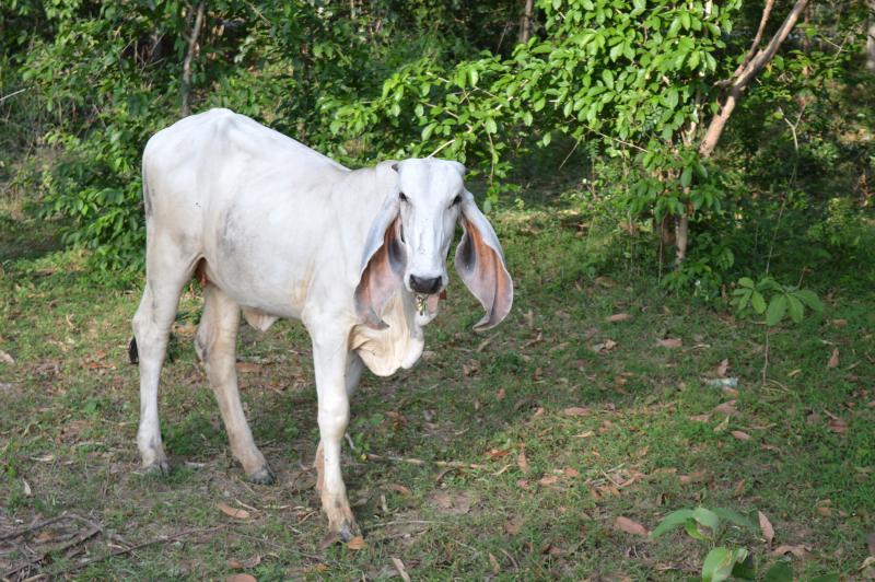 post-237730-0-93108200-1433170313_thumb.