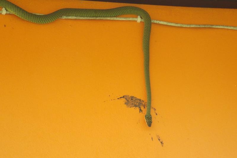 post-32351-0-18202300-1434860013_thumb.j