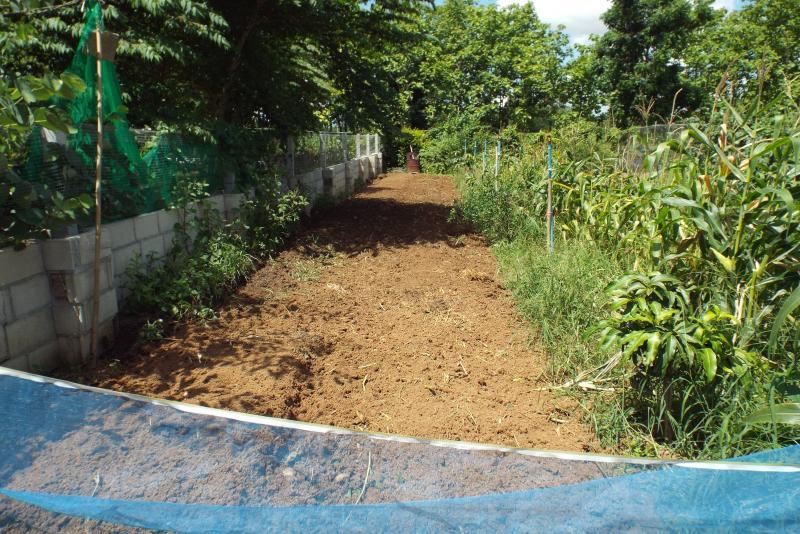 post-32351-0-45351400-1433994323_thumb.j