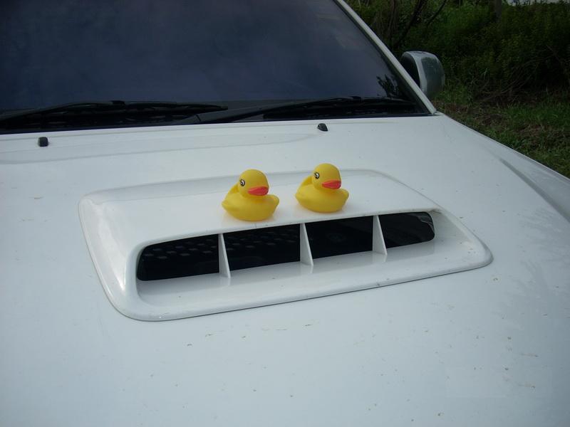 post-35075-0-62600700-1435110062_thumb.j