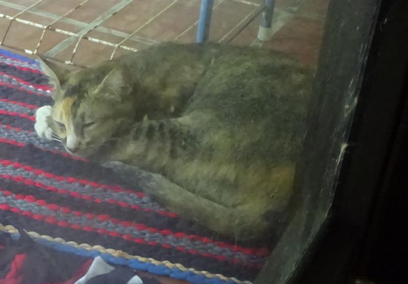 post-35489-0-18504800-1434391183_thumb.j