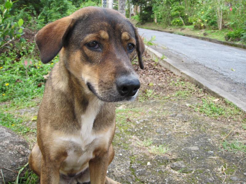 post-35489-0-33263000-1433779328_thumb.j