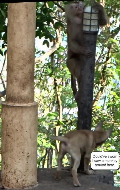 post-35489-0-48705600-1433348869_thumb.j