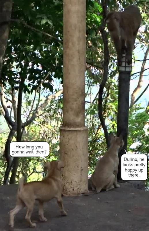 post-35489-0-64737400-1433348880_thumb.j