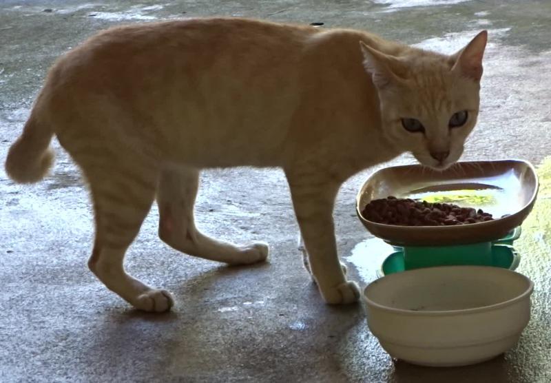 post-35489-0-66106400-1433951473_thumb.j