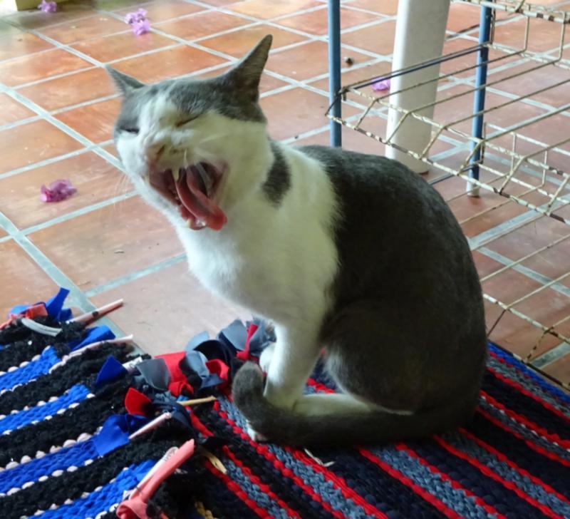 post-35489-0-70582800-1434983363_thumb.j