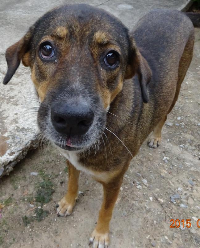 post-35489-0-72547800-1433346644_thumb.j