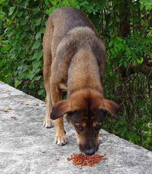 post-35489-0-91016900-1433429342_thumb.j