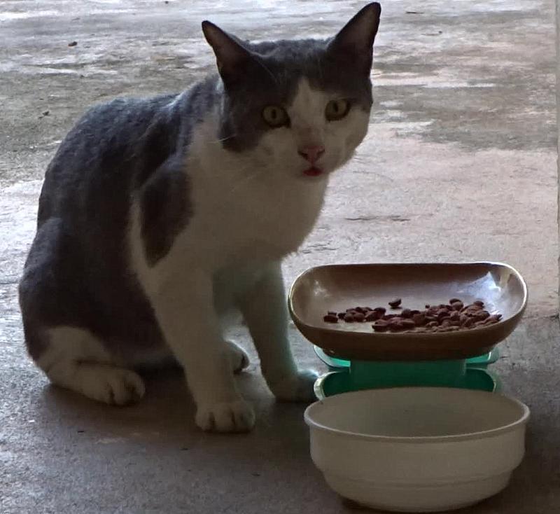 post-35489-0-91075900-1434031925_thumb.j