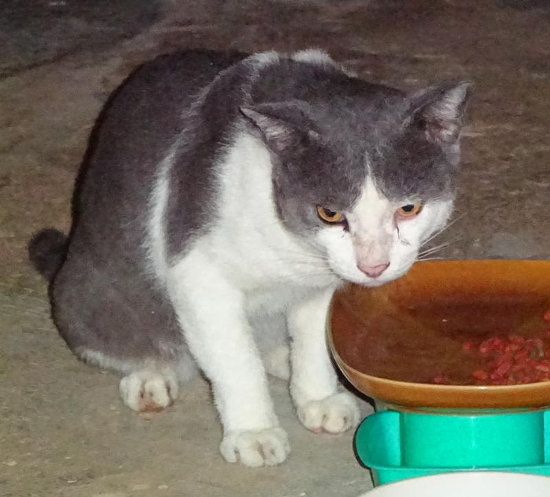 post-35489-0-91386700-1434217811_thumb.j