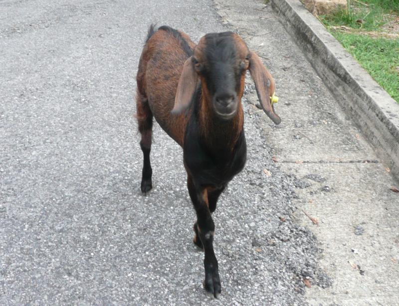 post-35489-0-98169500-1433854548_thumb.j