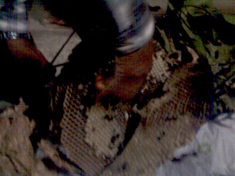 post-37242-0-63444300-1434837137_thumb.j