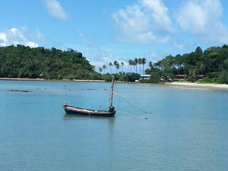 post-43419-0-96217000-1433988977_thumb.j