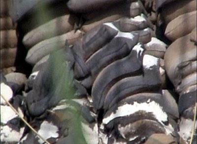 post-46292-0-09103800-1433637339_thumb.j