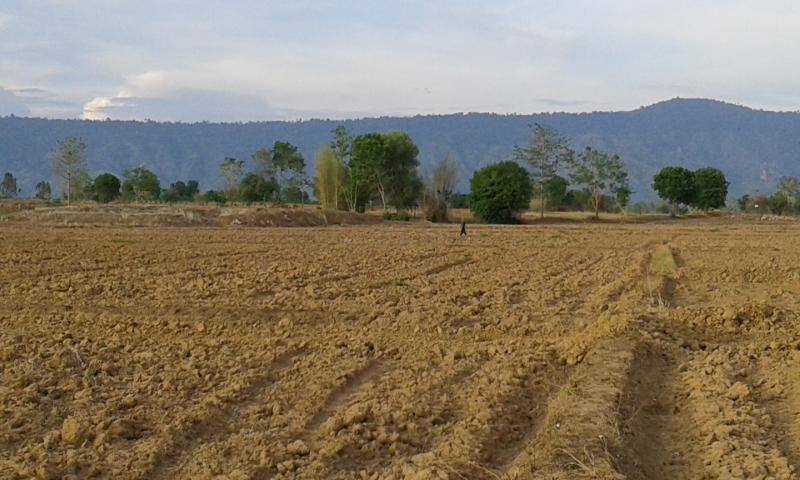 post-63954-0-68467900-1434116588_thumb.j