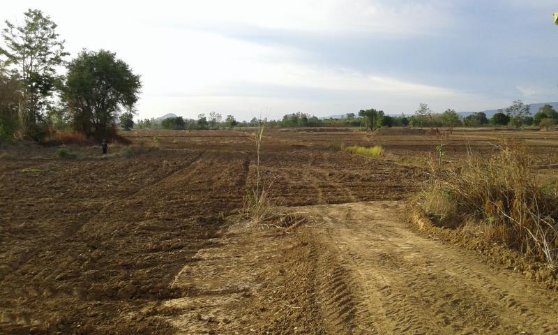 post-63954-0-70189100-1434116238_thumb.j