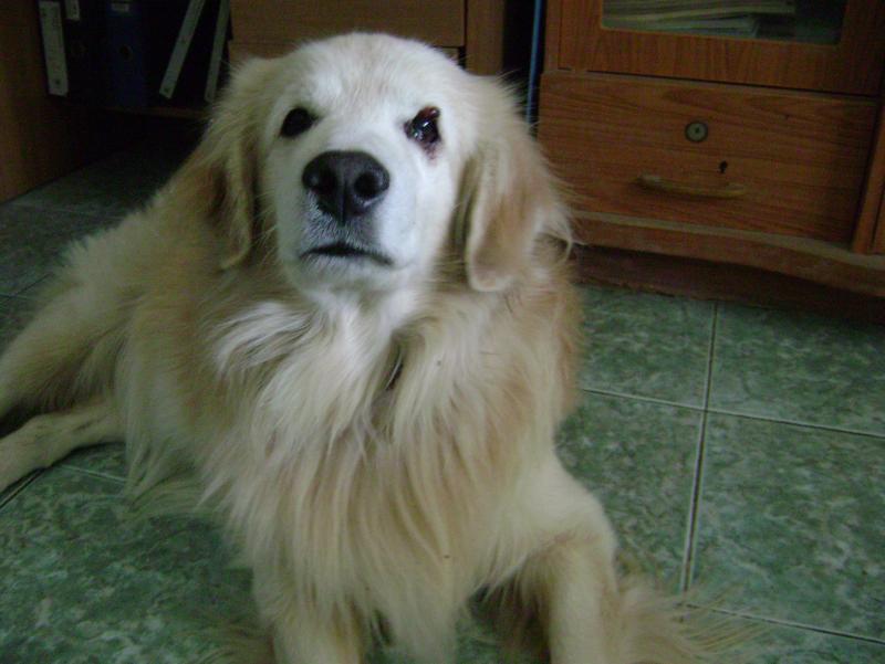 post-77463-0-76492700-1435025533_thumb.j