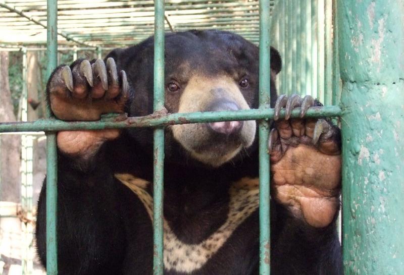 post-81532-0-17984700-1434531059_thumb.j