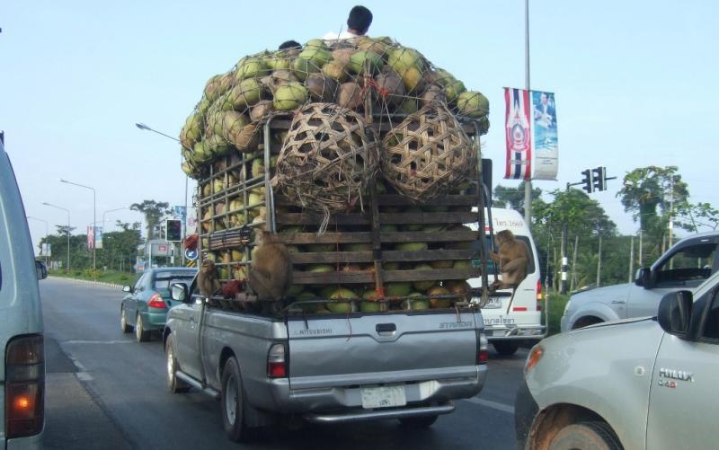 post-81532-0-76788400-1433409117_thumb.j