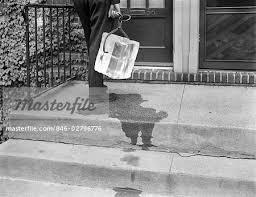 post-9891-0-28761400-1435140907_thumb.jp