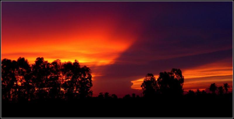 post-9958-0-55682800-1433749290_thumb.jp