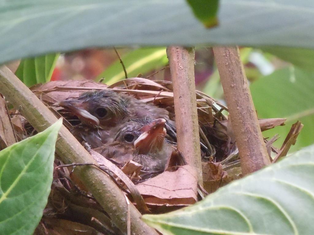 post-104254-0-24854100-1466692876_thumb.