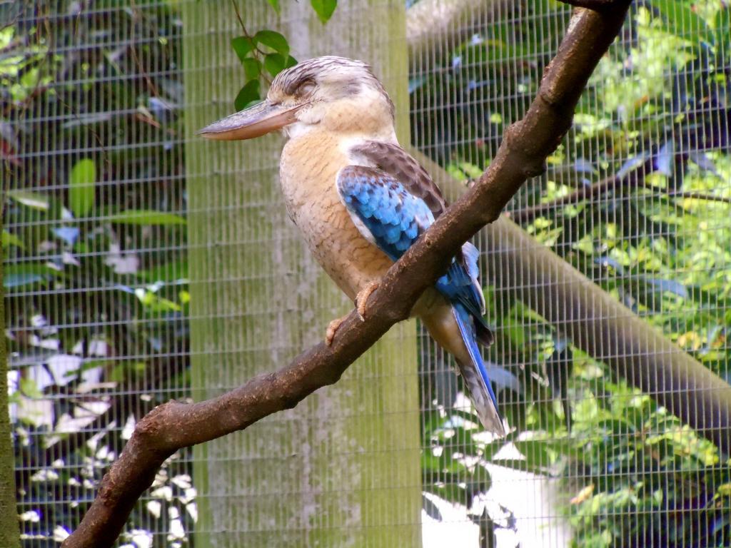 post-104254-0-34572200-1467120851_thumb.