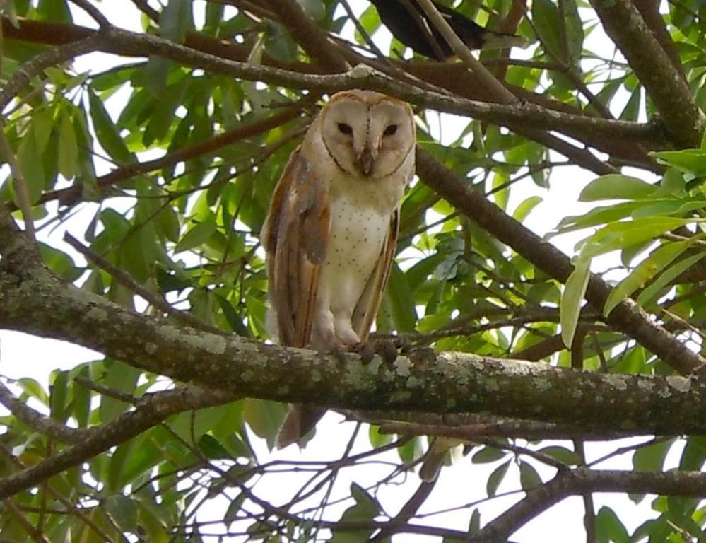 post-104254-0-41275600-1466691575_thumb.