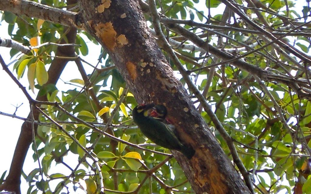 post-104254-0-64734800-1466693537_thumb.