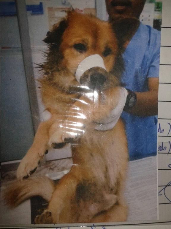 post-110899-0-16563900-1466300061_thumb.