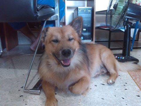 post-110899-0-20378600-1466219832_thumb.