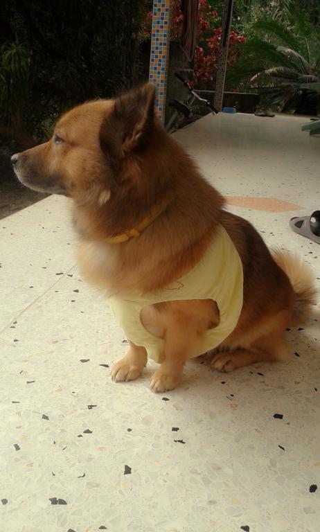 post-110899-0-22044100-1466300080_thumb.