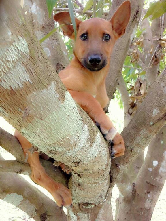 post-110899-0-40060800-1466220453_thumb.