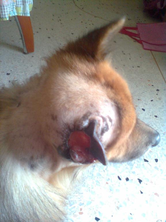 post-110899-0-48448000-1466219821_thumb.