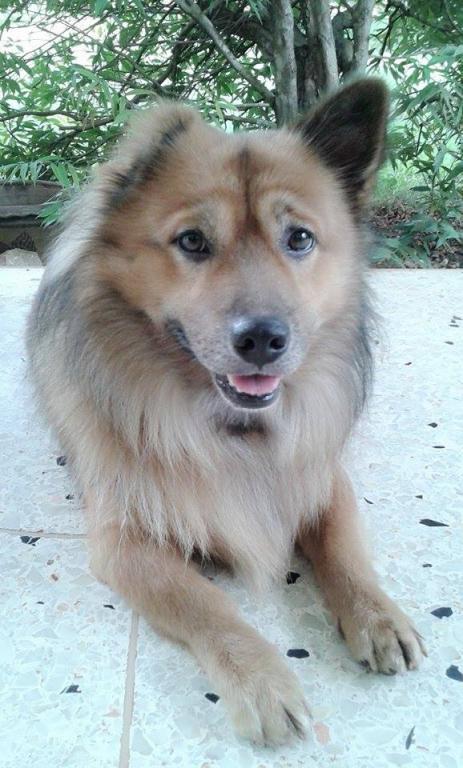 post-110899-0-49056600-1466219842_thumb.