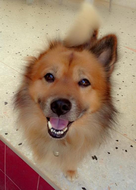 post-110899-0-96729200-1466219852_thumb.